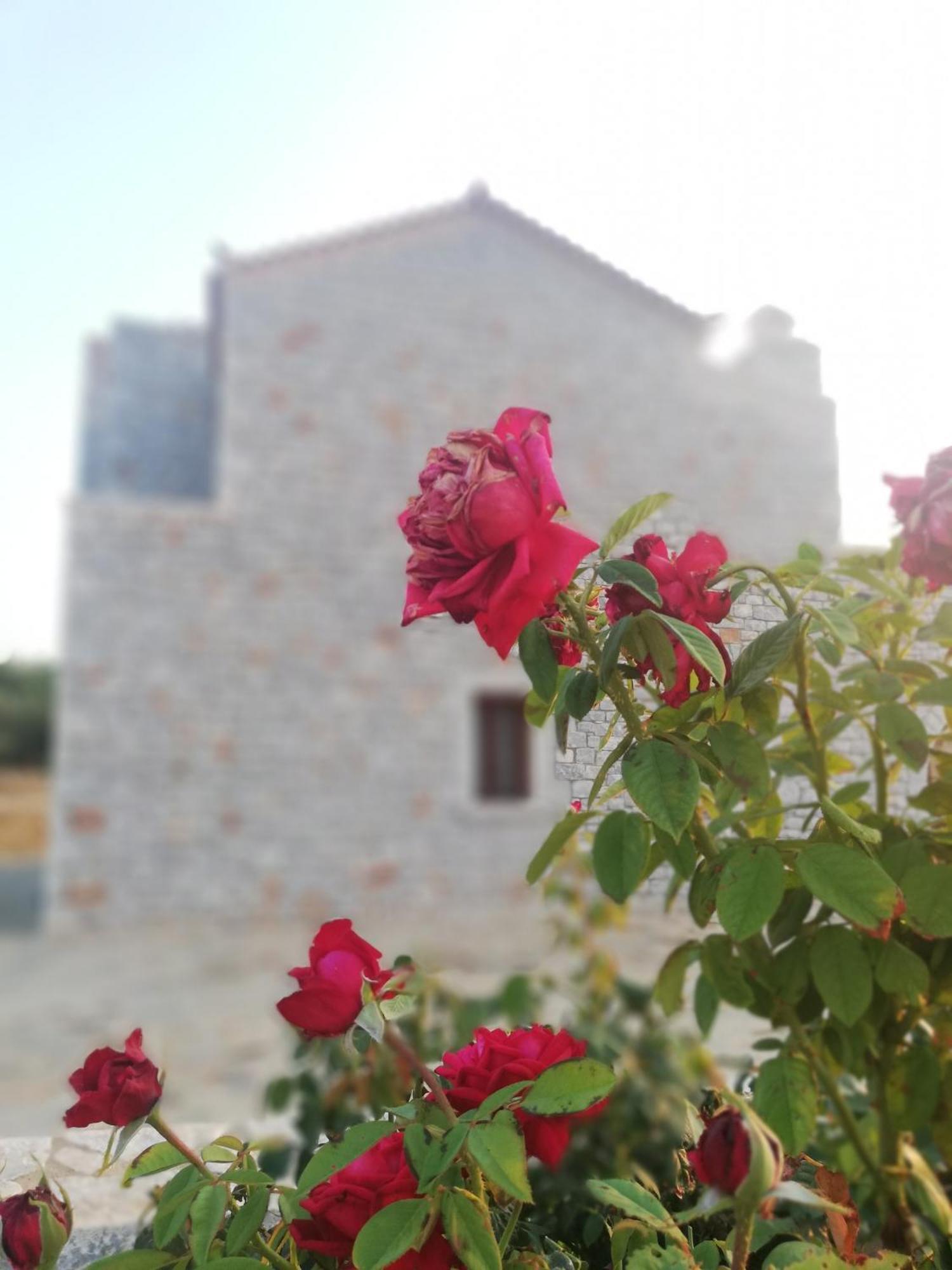 Mezapos Villa Antonis Mína Exterior foto